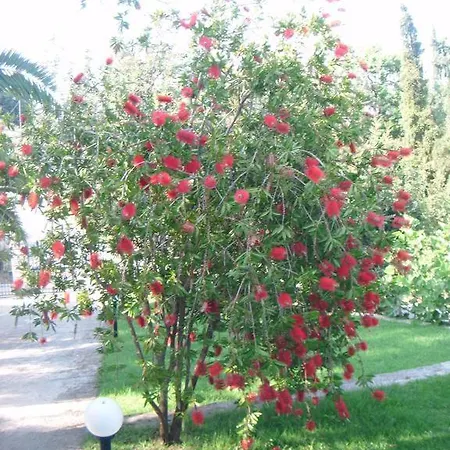 Nyaraló Stefemys In Corfu Gasztúri