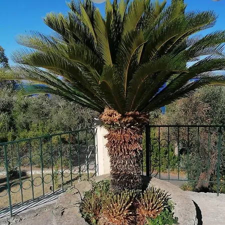 Stefemys In Corfu * Gastouri (Corfu)