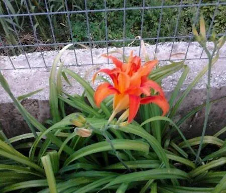 Hébergement de vacances Stefemys In Corfu